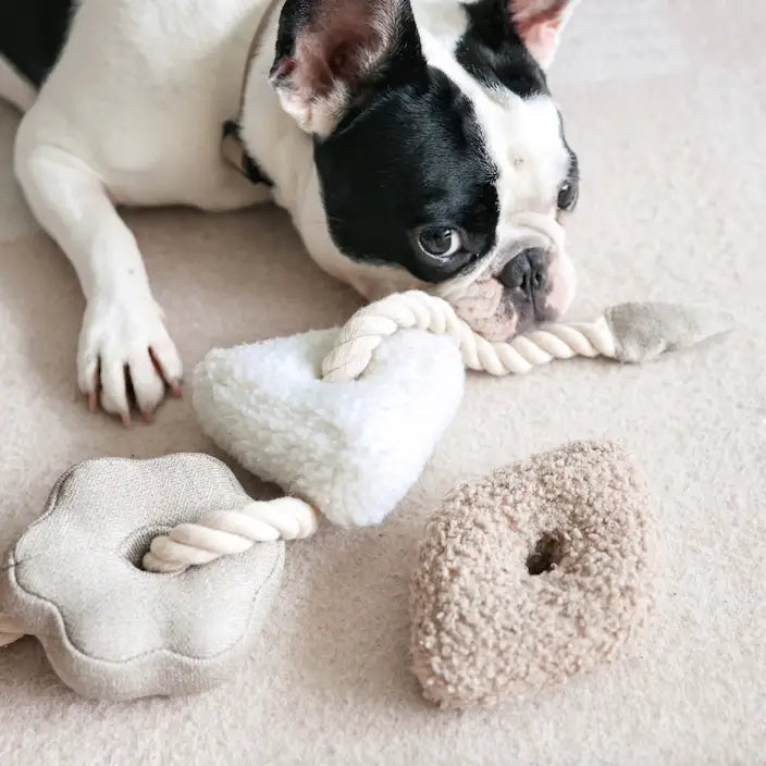 (Pre-Sale ETA: LATE MARCH) Blocs//Enrichment Dog Toy // Nude [DOG ENRICHMENT TOYS 2025]