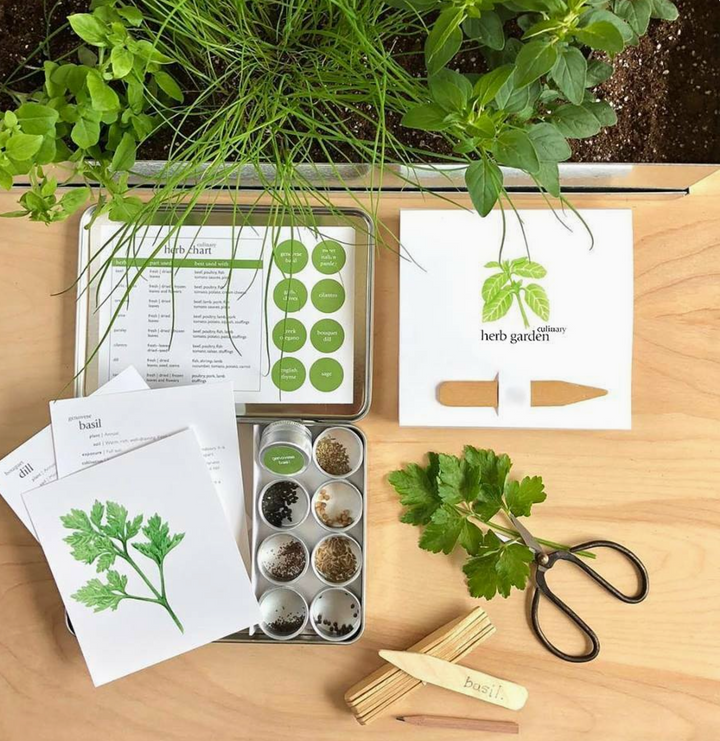 Garden Maker | Culinary Herbs (Ready To Ship)