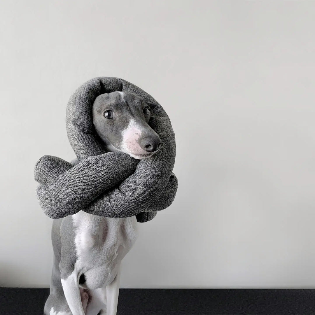 (Pre-Sale ETA: LATE MARCH)  Nou | Charcoal with Crinkle Clusters//Enrichment Dog Toy [DOG ENRICHMENT TOYS 2025]