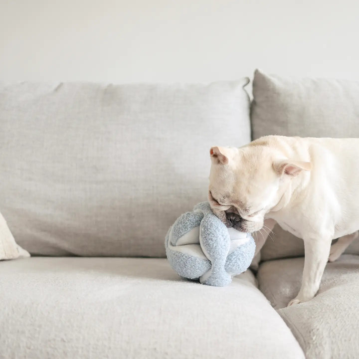 (Pre-Sale ETA: LATE MARCH) Monti//Enrichment Dog Toy [DOG ENRICHMENT TOYS 2025]